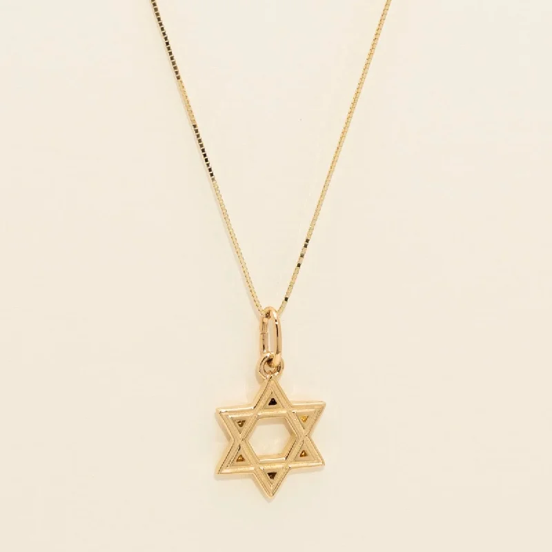 Star of David Necklace in 14kt Yellow Gold